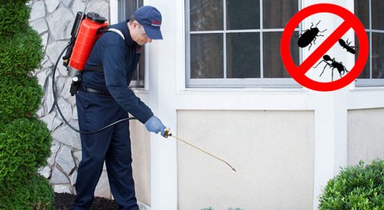 Aralık Bit İlaçlama böcek ilaçlama ve haşere kontrolü — ilaclama-tr.com
